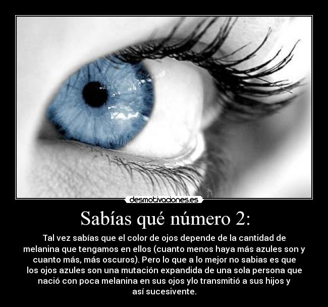 Sabías qué número 2: - Tal vez sabías que el color de ojos depende de la cantidad de
melanina que tengamos en ellos (cuanto menos haya más azules son y
cuanto más, más oscuros). Pero lo que a lo mejor no sabias es que
los ojos azules son una mutación expandida de una sola persona que
nació con poca melanina en sus ojos ylo transmitió a sus hijos y
así sucesivente.