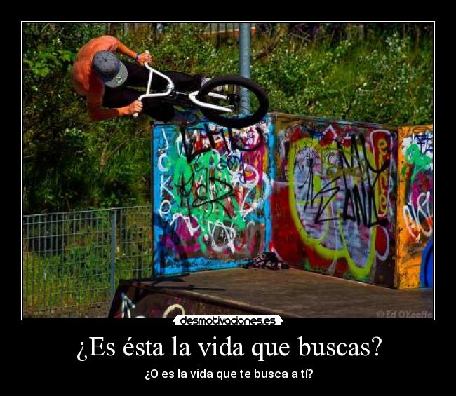 carteles vida vida desmotivaciones