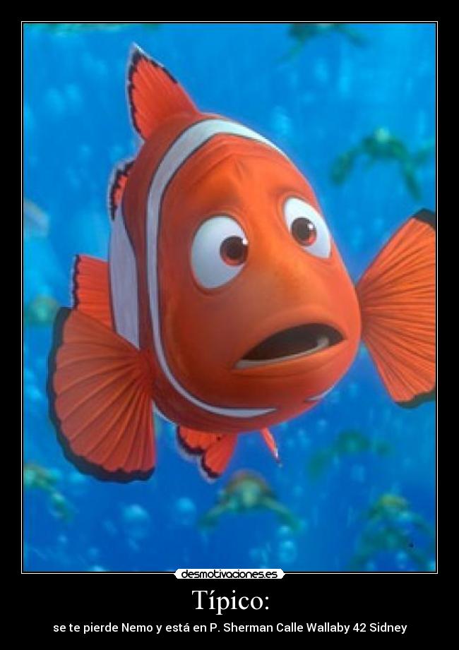 Típico: - se te pierde Nemo y está en P. Sherman Calle Wallaby 42 Sidney