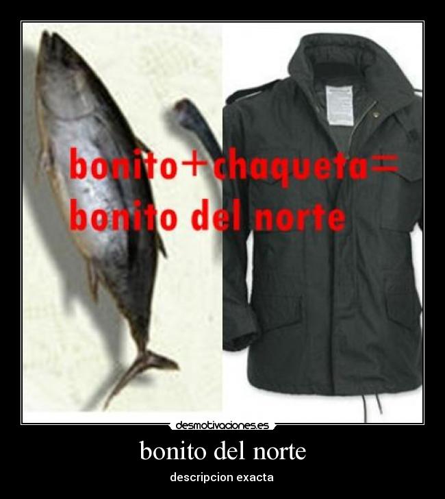 bonito del norte -