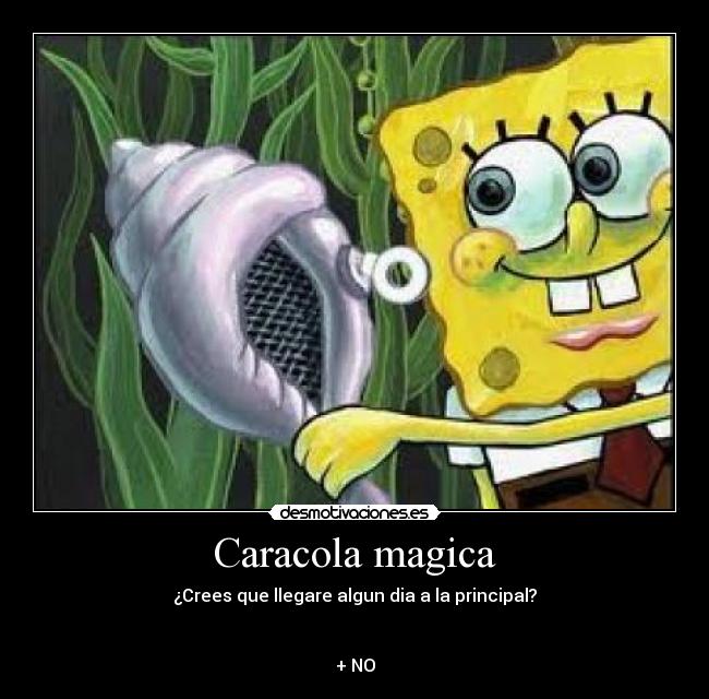 Caracola magica - 