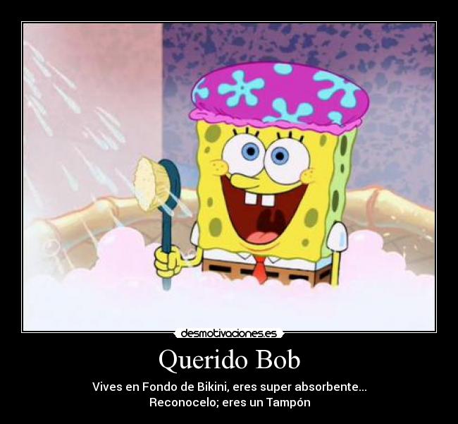 Querido Bob - 