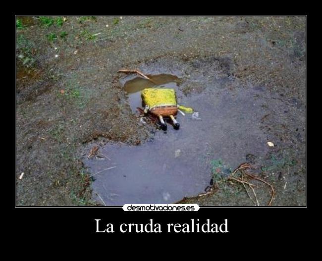 La cruda realidad -