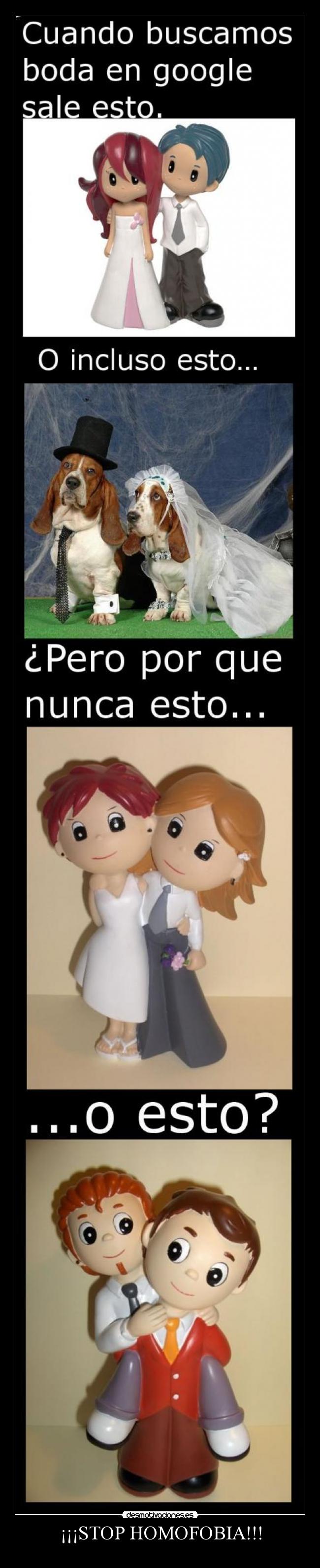 ¡¡¡STOP HOMOFOBIA!!! -