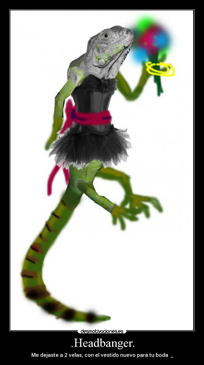 .Headbanger. - Me dejaste a 2 velas, con el vestido nuevo para tu boda ಥ_ಥ