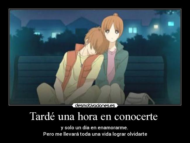 Tardé una hora en conocerte  - 