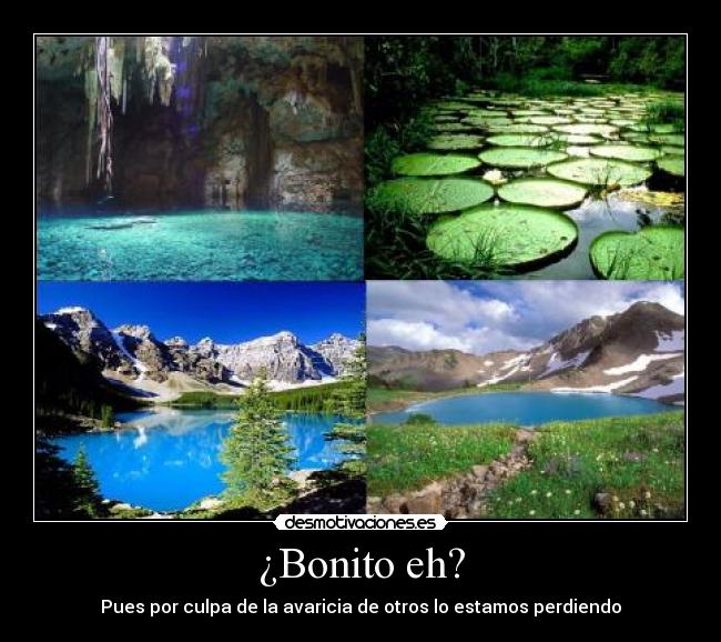 ¿Bonito eh? -