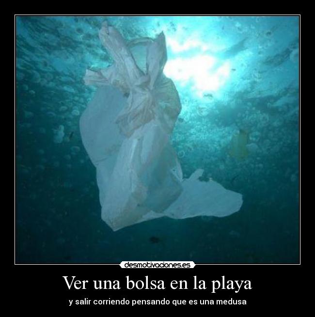 Ver una bolsa en la playa - y salir corriendo pensando que es una medusa
