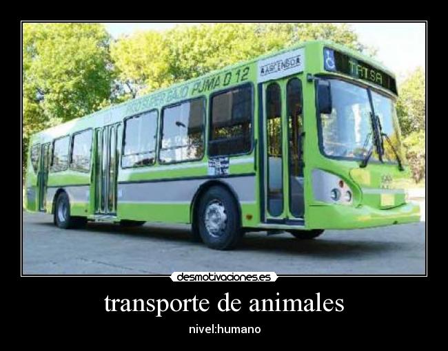 transporte de animales - nivel:humano