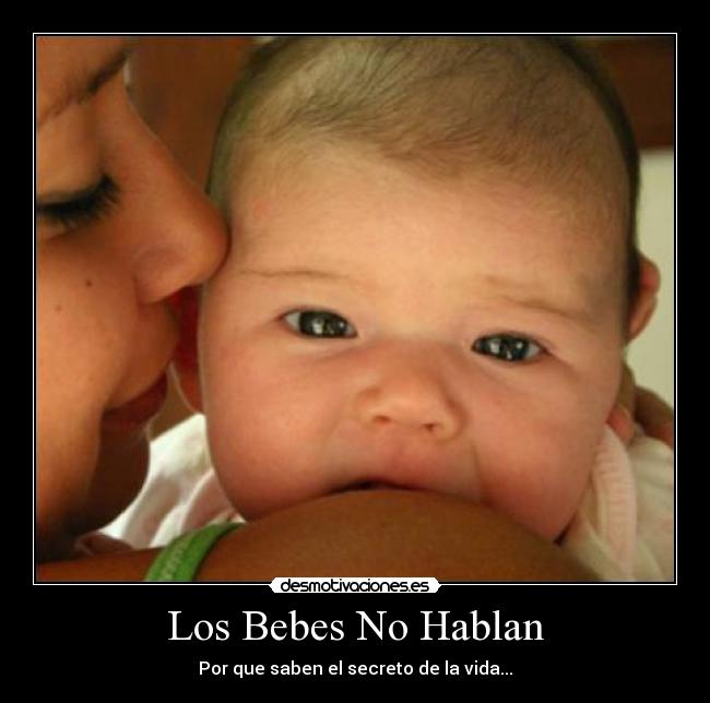 Los Bebes No Hablan - Por que saben el secreto de la vida...