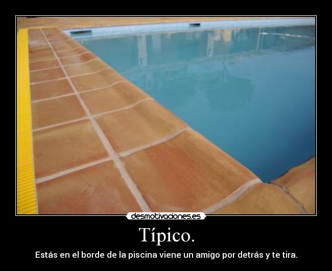 Típico. - Estás en el borde de la piscina viene un amigo por detrás y te tira.