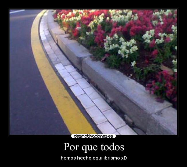 Por que todos -