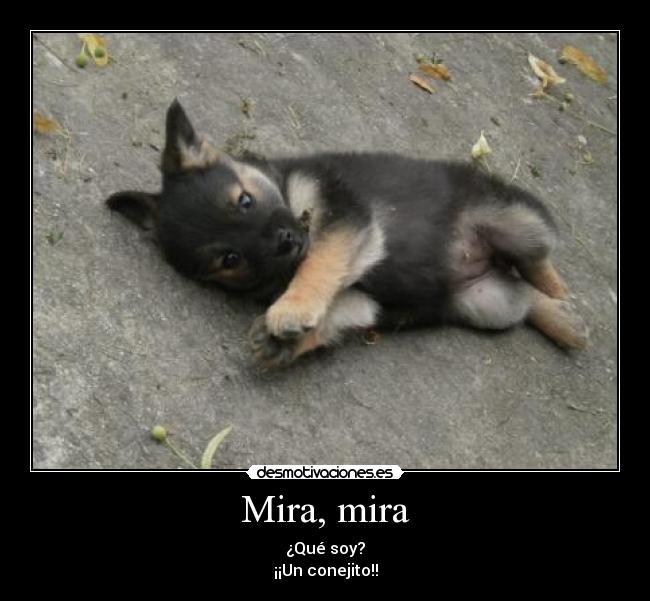 Mira, mira - ¿Qué soy?
¡¡Un conejito!!