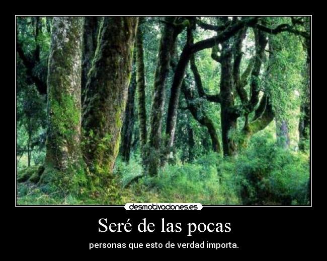 Seré de las pocas - 