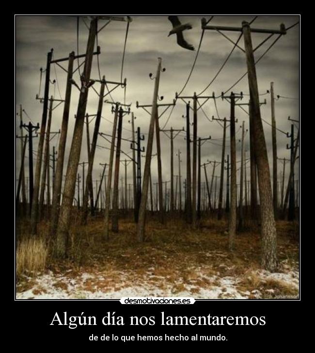 Algún día nos lamentaremos - 