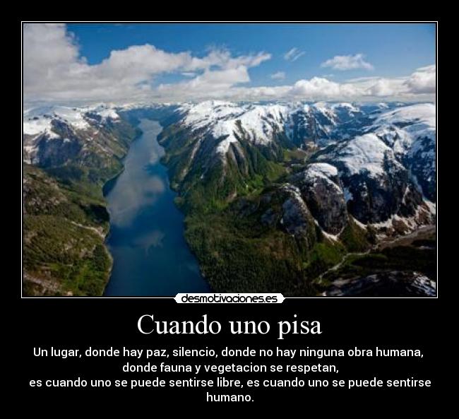 Cuando uno pisa - Un lugar, donde hay paz, silencio, donde no hay ninguna obra humana,
donde fauna y vegetacion se respetan,
es cuando uno se puede sentirse libre, es cuando uno se puede sentirse humano.