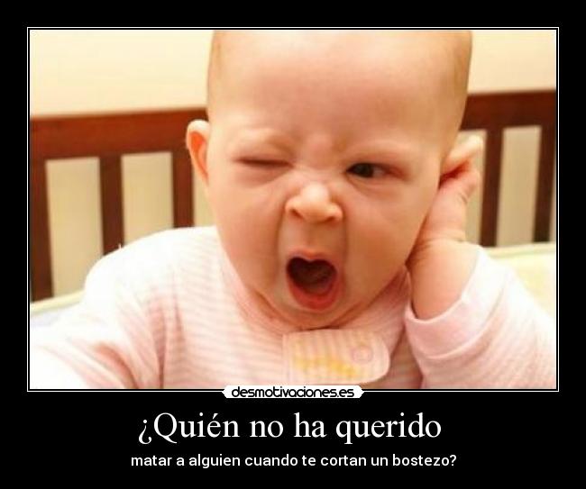 ¿Quién no ha querido  - 