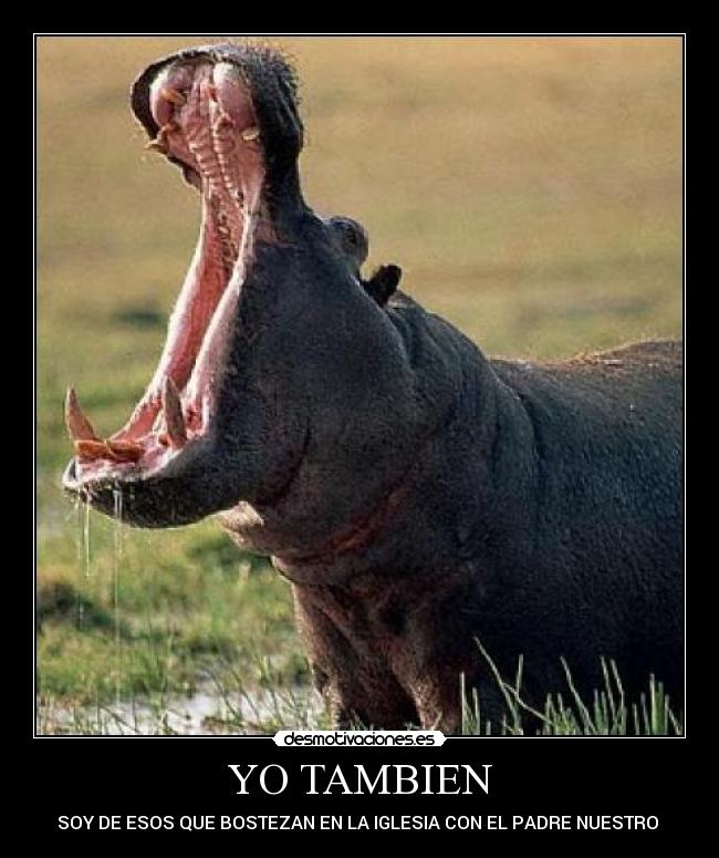 YO TAMBIEN -