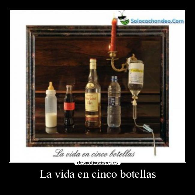 La vida en cinco botellas -