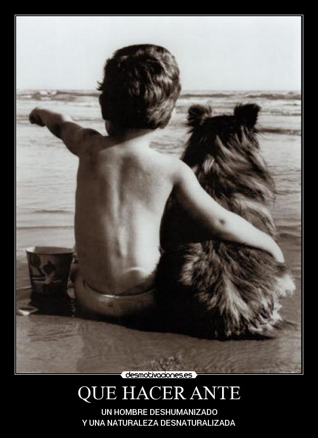 QUE HACER ANTE - UN HOMBRE DESHUMANIZADO
Y UNA NATURALEZA DESNATURALIZADA