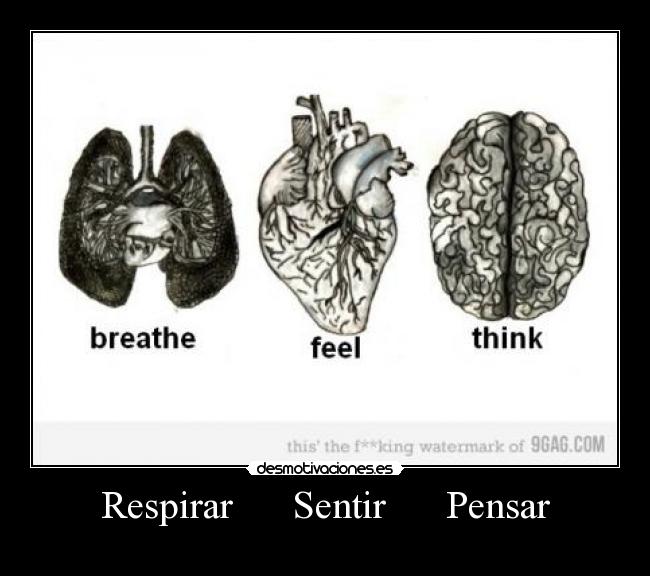 Respirar Sentir Pensar -