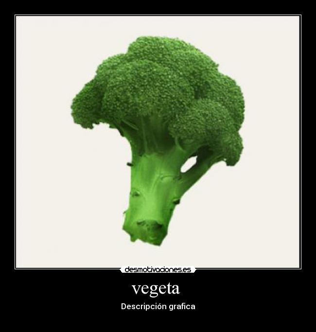 vegeta  - Descripción grafica
