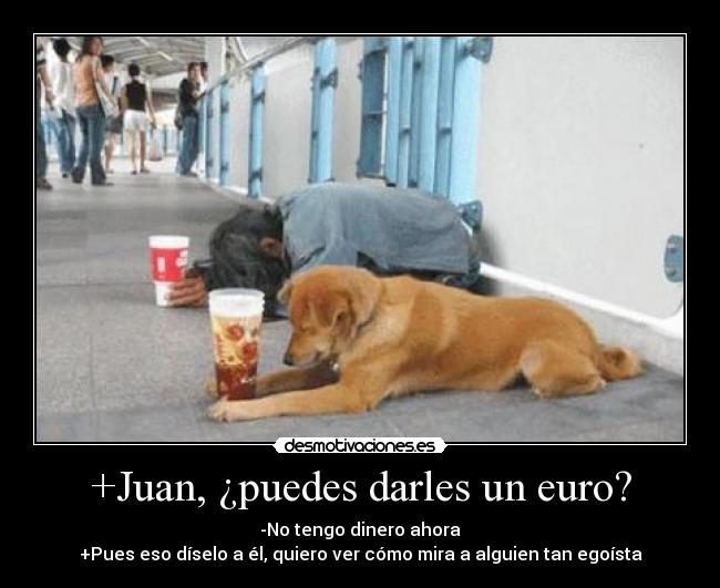 carteles limosna gente pobre animales dinero egoismo egoista pobreza desmotivaciones