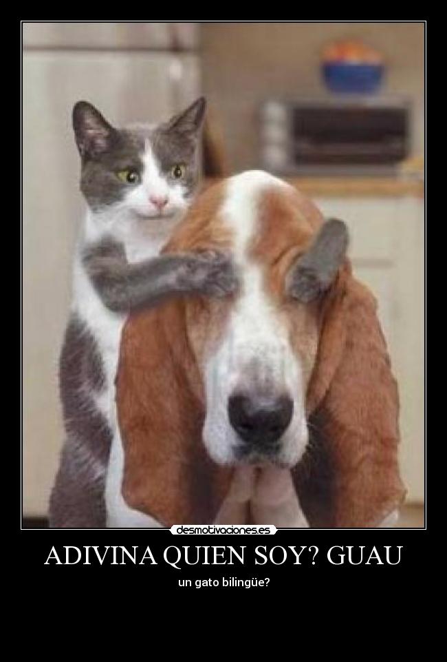 ADIVINA QUIEN SOY? GUAU - 