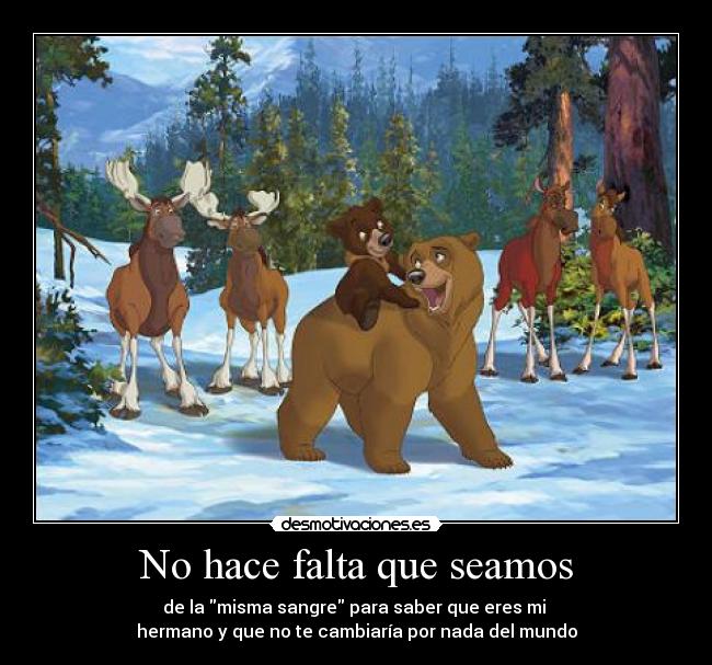 No hace falta que seamos - de la misma sangre para saber que eres mi 
hermano y que no te cambiaría por nada del mundo