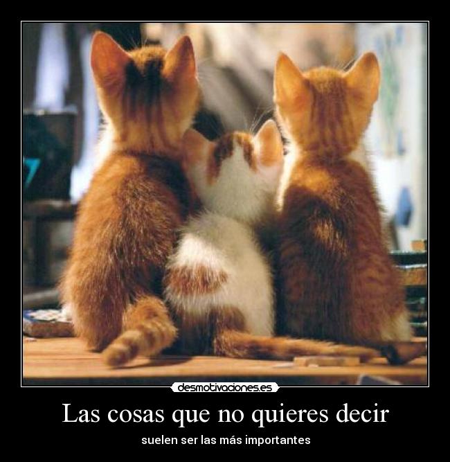 Las cosas que no quieres decir - 