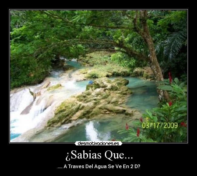 ¿Sabias Que... -