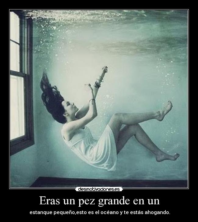 Eras un pez grande en un -  estanque pequeño,esto es el océano y te estás ahogando.