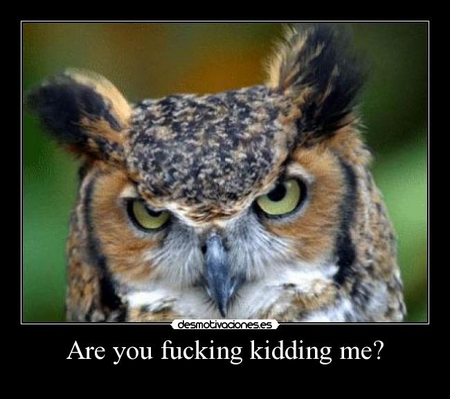 Are you fucking kidding me? -