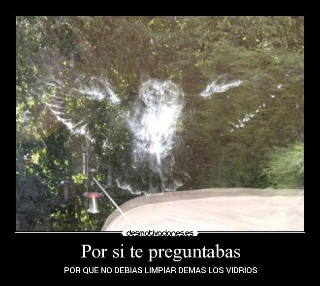 Por si te preguntabas - POR QUE NO DEBIAS LIMPIAR DEMAS LOS VIDRIOS