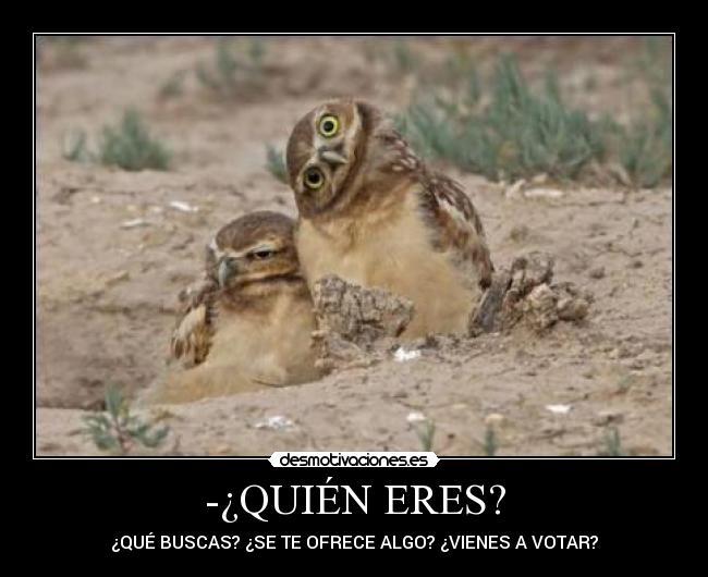 -¿QUIÉN ERES? - ¿QUÉ BUSCAS? ¿SE TE OFRECE ALGO? ¿VIENES A VOTAR?