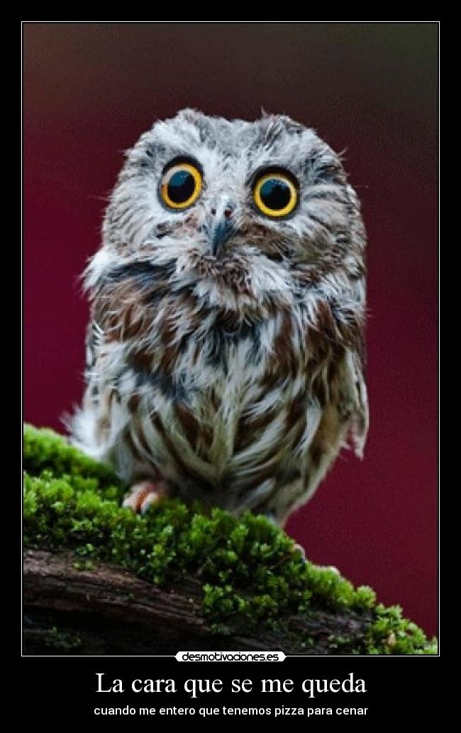 carteles pizza desmotivaciones