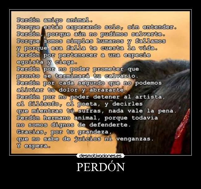 PERDÓN - 