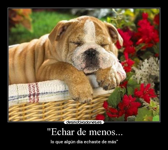 Echar de menos... - lo que algún día echaste de más