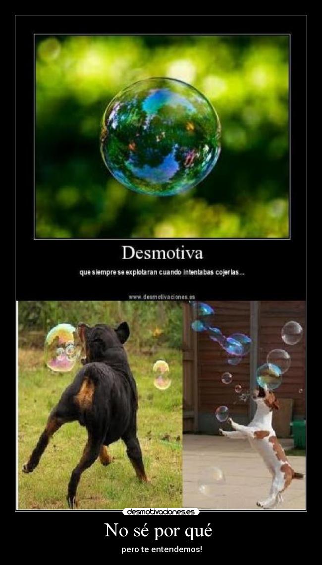 No sé por qué - pero te entendemos!