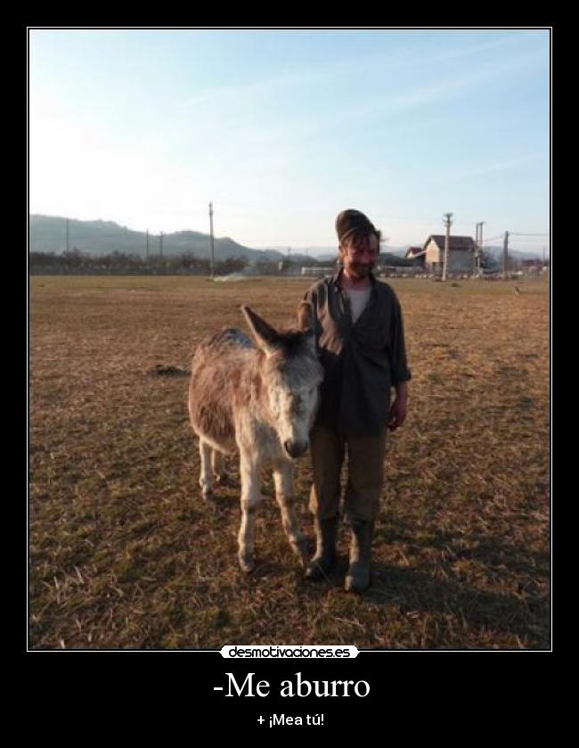 -Me aburro - + ¡Mea tú!