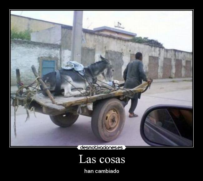 carteles juli-nero7 desmotivaciones