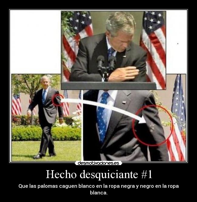 Hecho desquiciante #1 - 