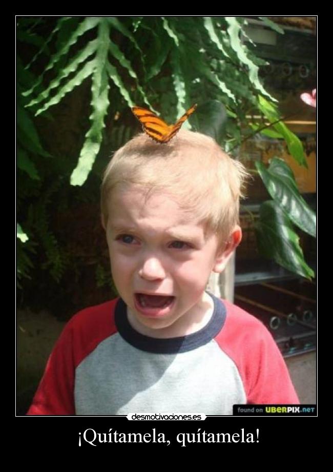 ¡Quítamela, quítamela! - 