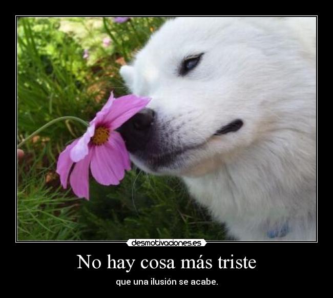 No hay cosa más triste -