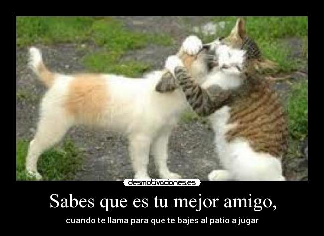 carteles amigo desmotivaciones