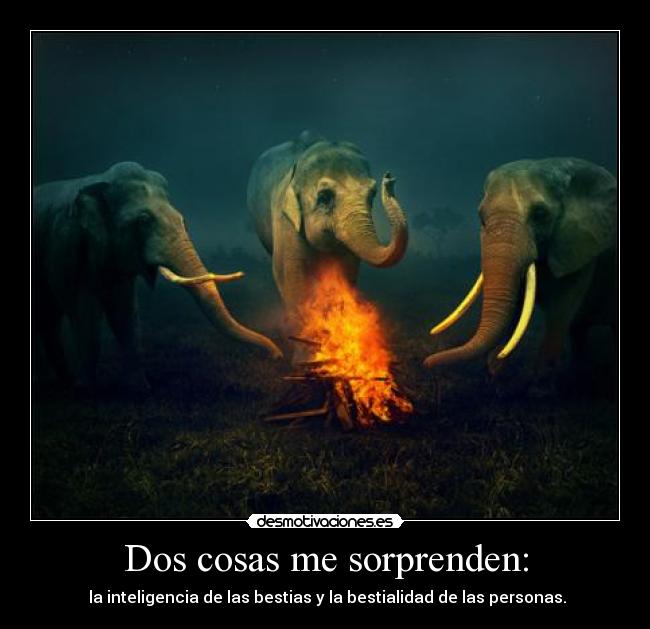 Dos cosas me sorprenden: - 
