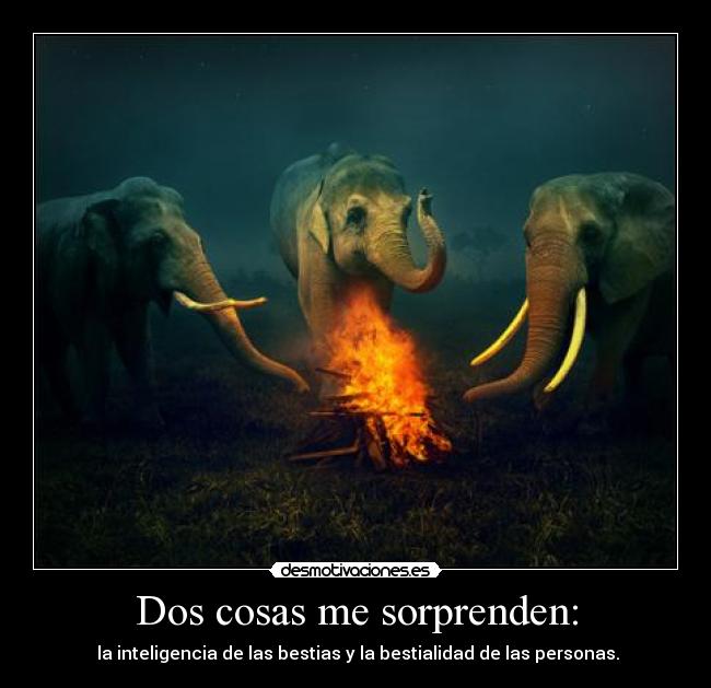 Dos cosas me sorprenden: - 