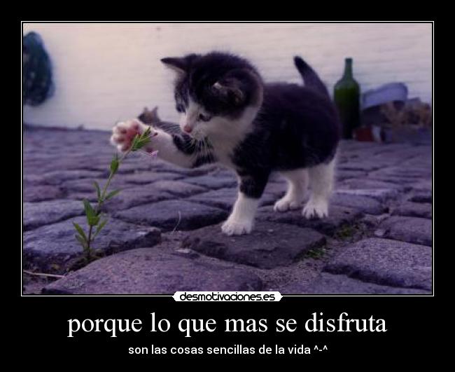porque lo que mas se disfruta - 