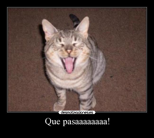 Que pasaaaaaaaa! - 