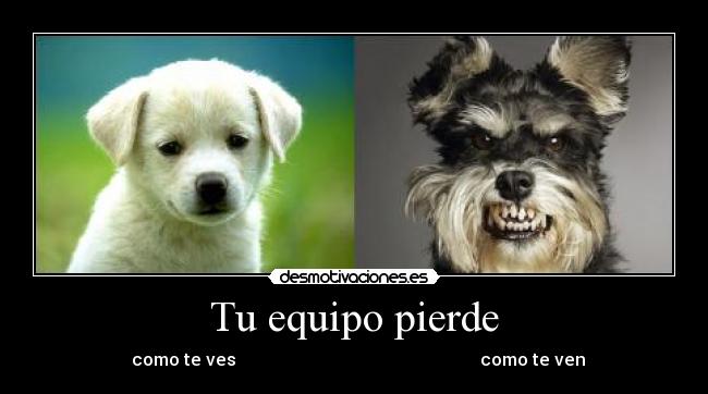 carteles perro desmotivaciones